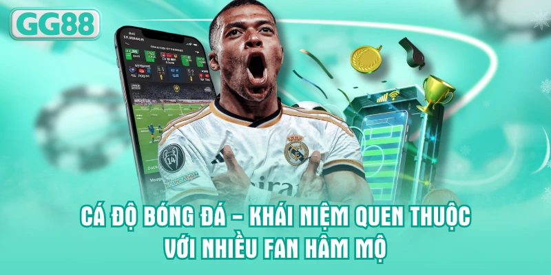 Cá độ bóng đá - Khái niệm quen thuộc với nhiều fan hâm mộ